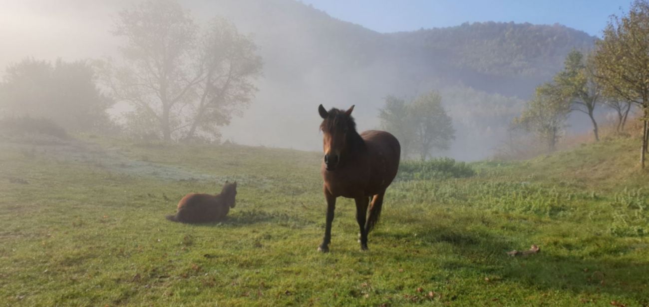 Piramida Sunca, BIH, Dolina piramida, Semir Osmanagic, Neven CArin